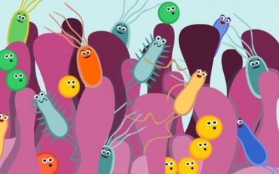 11 Things You Didn’t Know About Your Gut