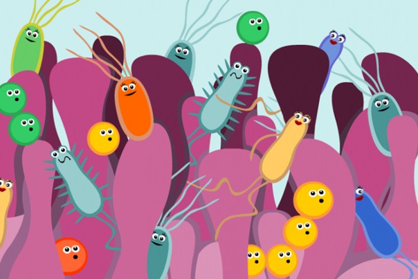 Things you didn't know about your gut